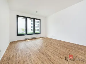Pronájem bytu 1+kk, Plzeň - Jižní Předměstí, Železná, 35 m2