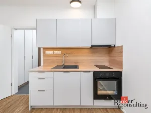 Pronájem bytu 1+kk, Plzeň - Jižní Předměstí, Železná, 31 m2