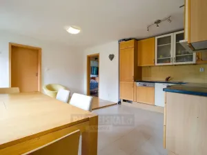 Prodej vícegeneračního domu, Moldava, 410 m2