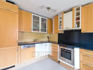 Prodej vícegeneračního domu, Moldava, 410 m2