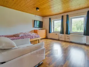 Prodej vícegeneračního domu, Moldava, 410 m2