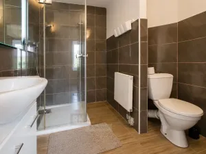 Prodej vícegeneračního domu, Moldava, 410 m2