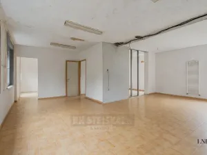 Prodej vícegeneračního domu, Moldava, 410 m2