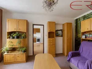 Pronájem bytu 1+1, Jablonec nad Nisou, U Jeslí, 39 m2