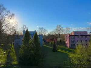 Pronájem bytu 1+1, Český Těšín, Sídliště ONV, 30 m2