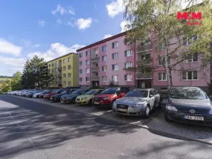 Prodej bytu 1+1, Cheb, Lesní, 36 m2
