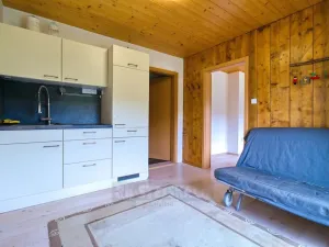 Prodej apartmánu, Moldava, 410 m2