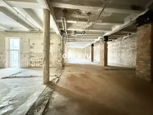 Pronájem obchodního prostoru, Brno - Staré Brno, Václavská, 1500 m2