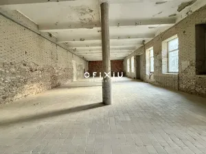 Pronájem obchodního prostoru, Brno - Staré Brno, Václavská, 1500 m2