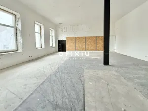 Pronájem obchodního prostoru, Brno - Staré Brno, Václavská, 1500 m2