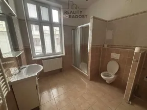 Pronájem bytu 1+kk, Ostrava, Reální, 46 m2