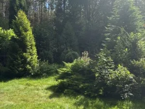 Prodej rodinného domu, Veselíčko - Bilina, 50 m2