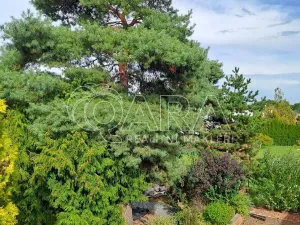 Prodej rodinného domu, Odolena Voda - Dolínek, Do Zahrad, 150 m2
