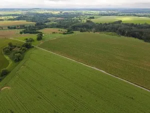 Dražba rodinného domu, Velká Losenice, 64 m2