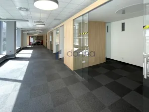 Pronájem obchodního prostoru, Praha, Plzeňská, 194 m2