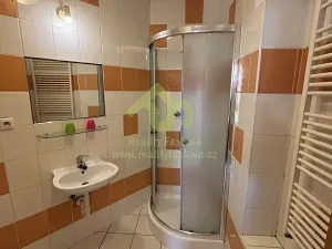 Prodej rodinného domu, Plzeň, Lindauerova, 776 m2