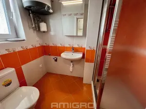 Pronájem bytu 1+kk, Malhostovice, 40 m2
