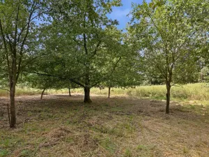 Prodej rodinného domu, Olbramovice - Semtínek, 120 m2