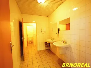 Pronájem kanceláře, Brno, Příkop, 20 m2