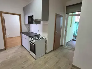 Pronájem bytu 2+1, Praha - Holešovice, V háji, 51 m2