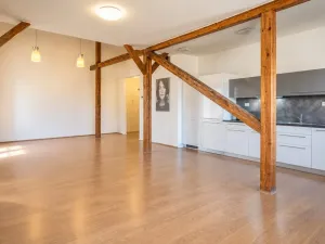 Pronájem bytu 4+kk, Brno - Brno-město, Panská, 111 m2