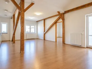 Pronájem bytu 4+kk, Brno - Brno-město, Panská, 111 m2