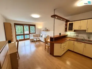 Pronájem bytu 2+kk, Praha - Záběhlice, Podle náhonu, 65 m2