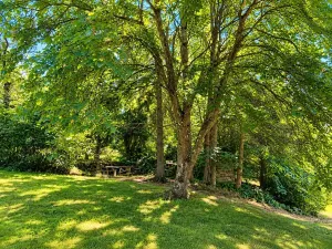 Prodej chalupy, Oskava, 150 m2
