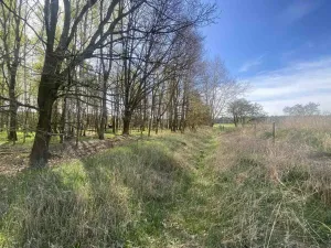 Prodej pozemku, Hranice, 2086 m2