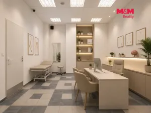 Prodej obchodního prostoru, Praha - Libeň, Sokolovská, 144 m2