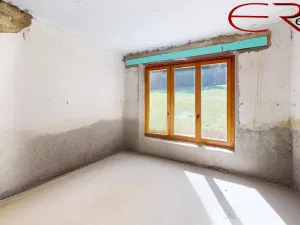 Prodej ubytování, Pěnčín - Alšovice, 394 m2
