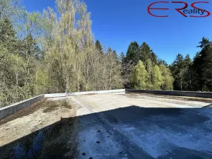 Prodej ubytování, Pěnčín - Alšovice, 394 m2