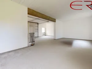 Prodej ubytování, Pěnčín - Alšovice, 394 m2