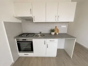 Pronájem bytu 1+1, Litvínov, Mládežnická, 38 m2
