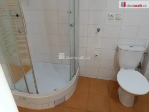 Pronájem bytu 2+kk, Praha - Vršovice, Novgorodská, 39 m2