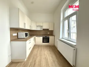Pronájem kanceláře, Děčín, Březová, 55 m2