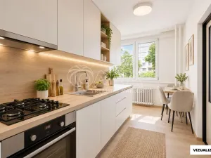 Prodej bytu 2+1, Ústí nad Labem - Severní Terasa, Werichova, 52 m2