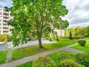Prodej bytu 2+1, Ústí nad Labem - Severní Terasa, Werichova, 52 m2