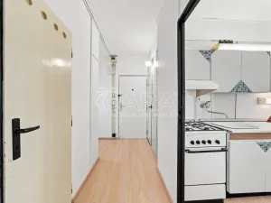 Prodej bytu 2+1, Ústí nad Labem - Severní Terasa, Werichova, 52 m2