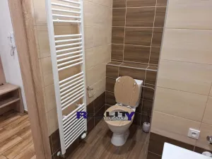 Pronájem bytu 2+kk, Podbořany, Alšova, 54 m2