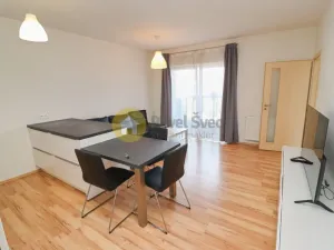Prodej bytu 2+kk, Plzeň - Bolevec, U Velkého rybníka, 57 m2