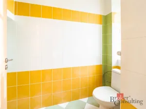 Prodej bytu 2+kk, Týn nad Vltavou, Legií, 46 m2