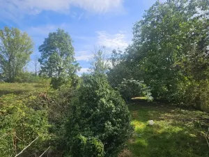 Prodej rodinného domu, Býčkovice - Velký Újezd, 700 m2