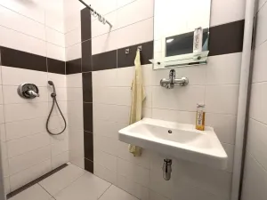 Pronájem bytu 2+kk, Plzeň - Jižní Předměstí, Dobrovského, 50 m2