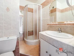 Pronájem bytu 1+1, České Budějovice - České Budějovice 3, Puklicova, 40 m2