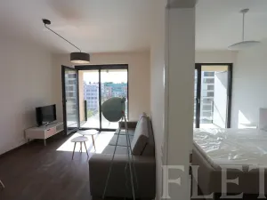 Pronájem bytu 2+kk, Praha - Karlín, U Mlýnského kanálu, 57 m2