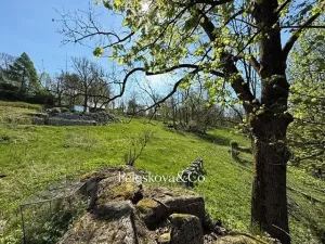 Prodej pozemku pro bydlení, Kořenov, 12296 m2