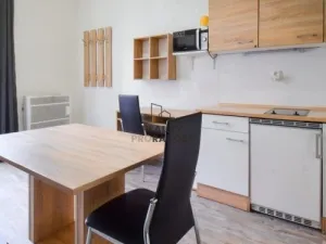 Pronájem bytu 1+kk, Brno, Hybešova, 23 m2