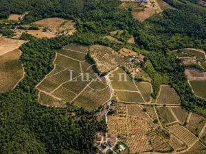 Prodej výrobních prostor, Castellina in Chianti, Itálie, 1130 m2