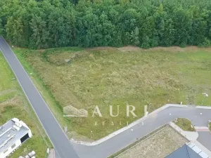 Prodej pozemku pro bydlení, Olešná, 2642 m2
